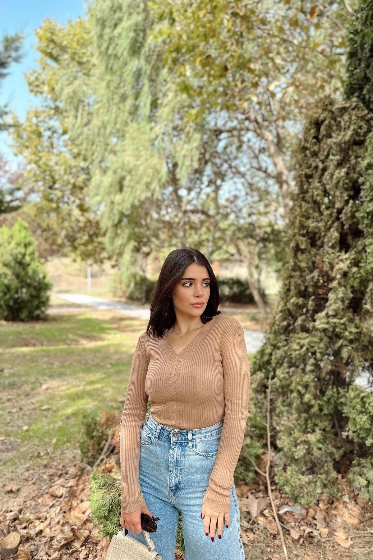 Kadın Camel V Yaka, Uzun Kol, Vucüda Oturan Kalıp, Esnek Kumaş, Örgü Desen Triko Bluz