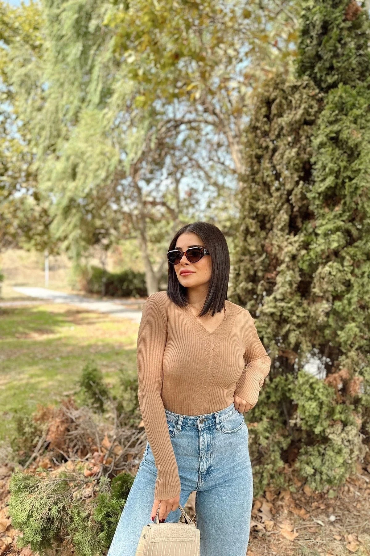 Kadın Camel V Yaka, Uzun Kol, Vucüda Oturan Kalıp, Esnek Kumaş, Örgü Desen Triko Bluz